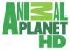 Animal Planet HD  в составе оператора CYFRA+