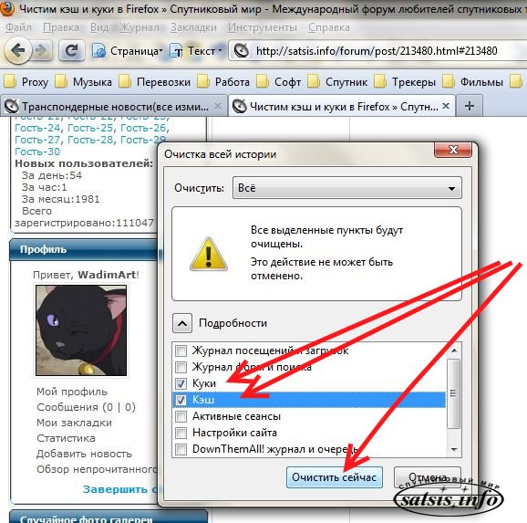 Очистка кэша куки. Как почистить кэш и куки. Как почистить кэш куки браузера. Как почистить файлы куки в браузере. Кэш куки Спутник.