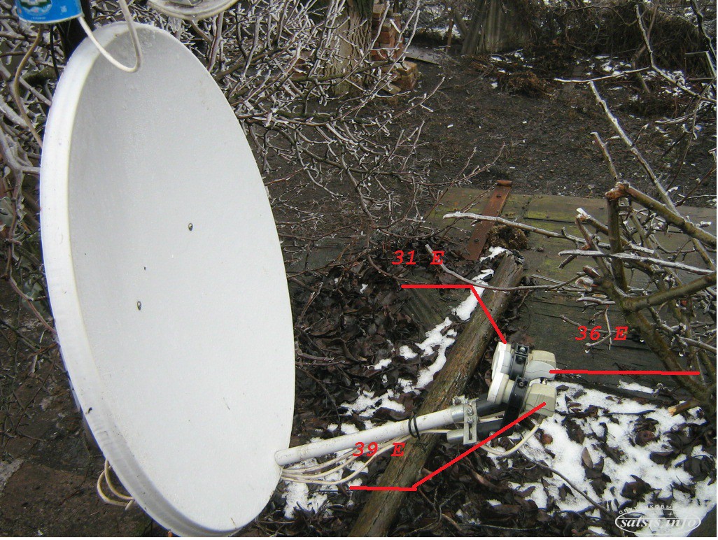 Новости спутникового телевидения на сегодня. Hotbird 13e Astra 31.5. Спутниковая тарелка Supermax. 75 Градус Спутник. Спутниковая тарелка в лесу.
