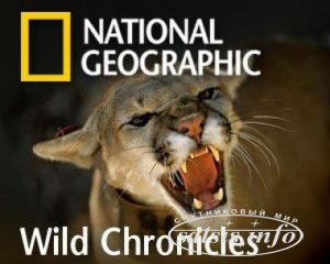 Сегодня National Geographic channel было запрещено для показа в Украине