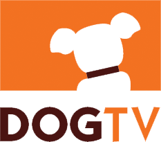 DogTV приходит в Польшу