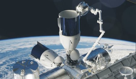 NASA сообщило об отмене запуска Cargo Dragon к МКС